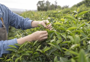 Aquapharm Sostenibilità Natura e persone